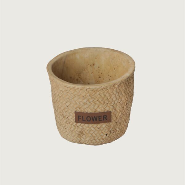 baytonia_main product photo