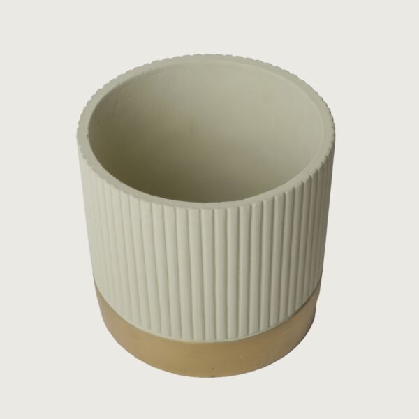 baytonia_main product photo