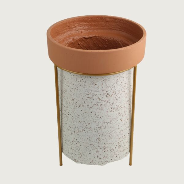 baytonia_main product photo