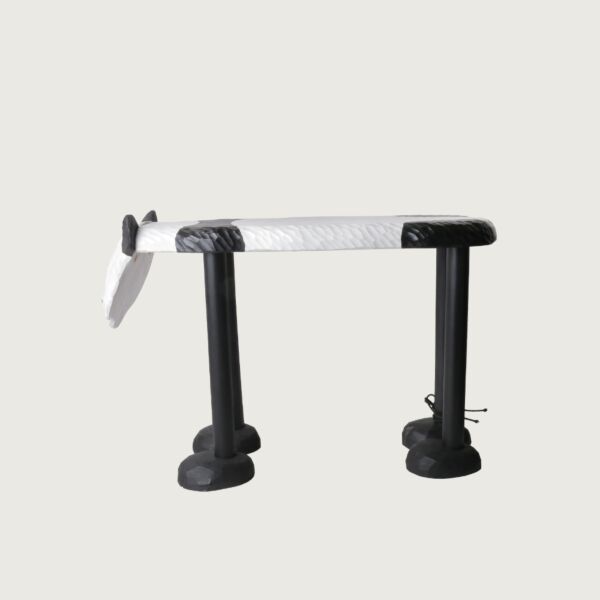 baytonia_main product photo