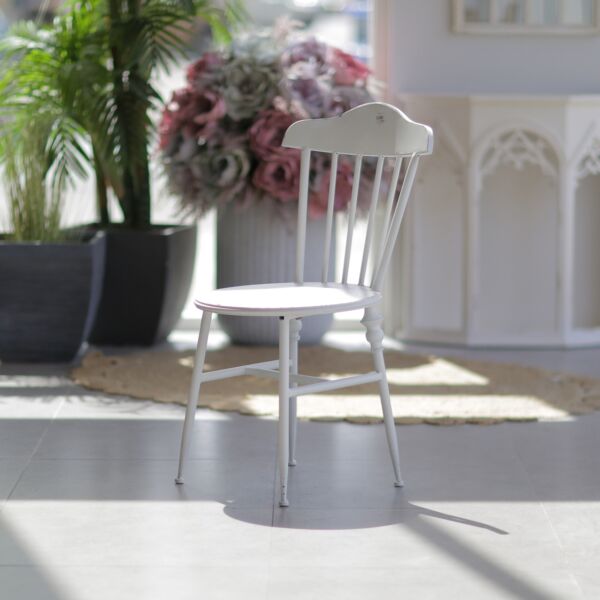 baytonia_main product photo