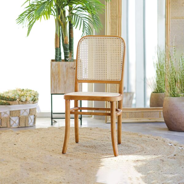 baytonia_main product photo