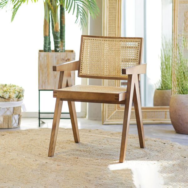 baytonia_main product photo