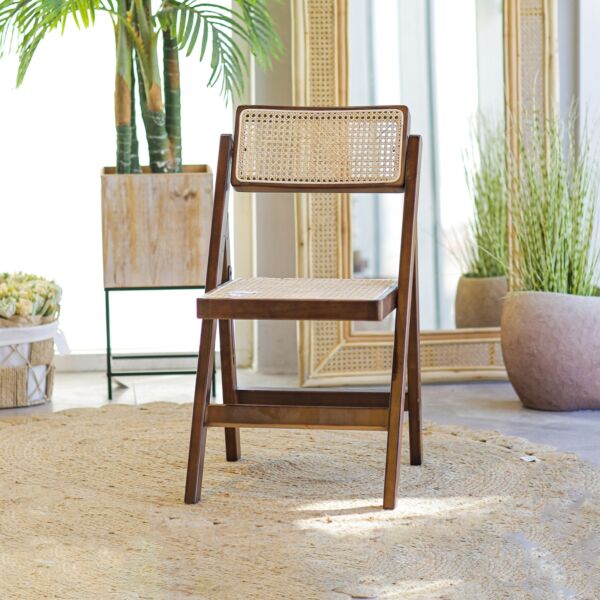 baytonia_main product photo
