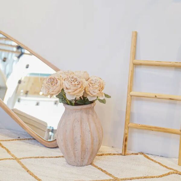 baytonia_main product photo