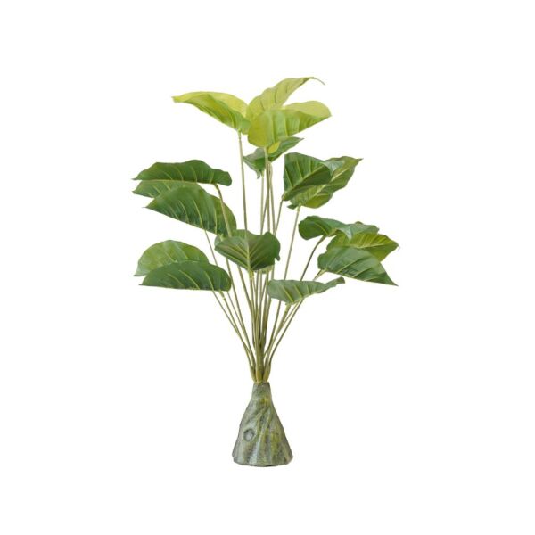 baytonia_main product photo