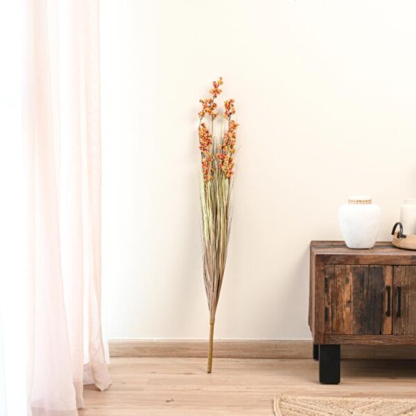 baytonia_main product photo