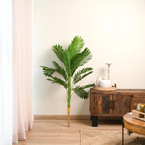 baytonia_main product photo