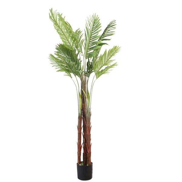 baytonia_main product photo