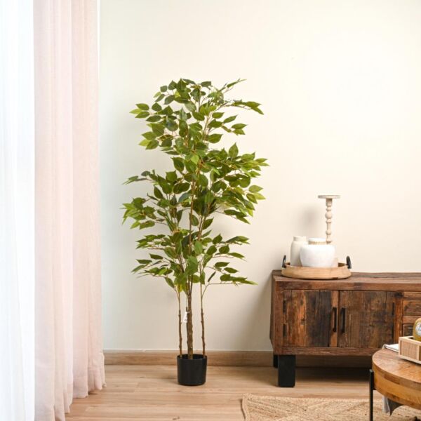 baytonia_main product photo