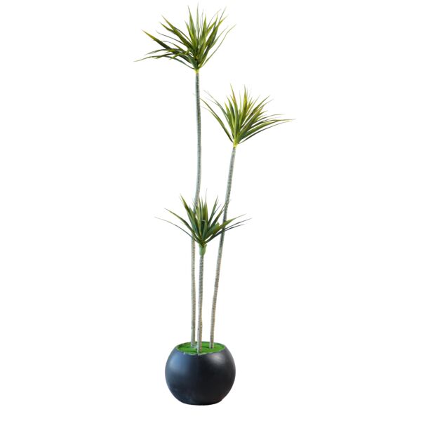 baytonia_main product photo