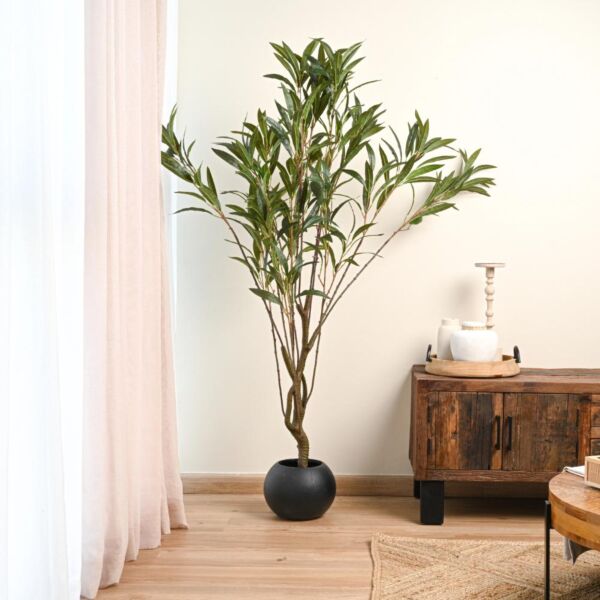 baytonia_main product photo