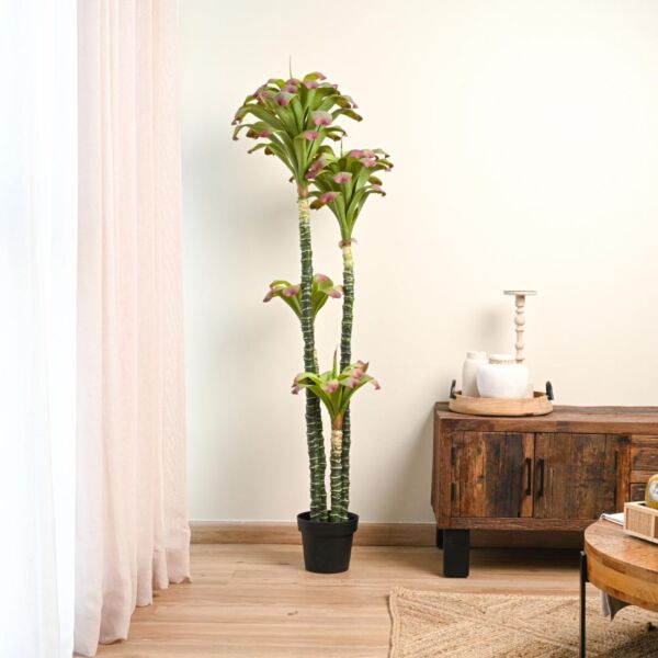 baytonia_main product photo