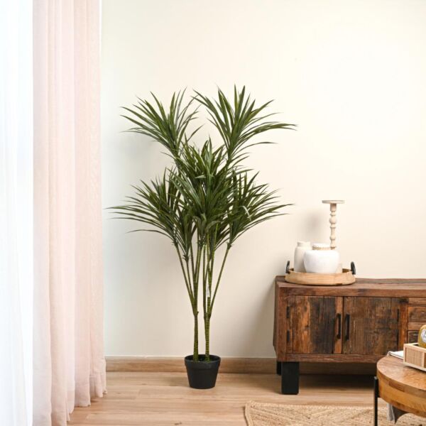 baytonia_main product photo