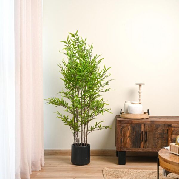 baytonia_main product photo