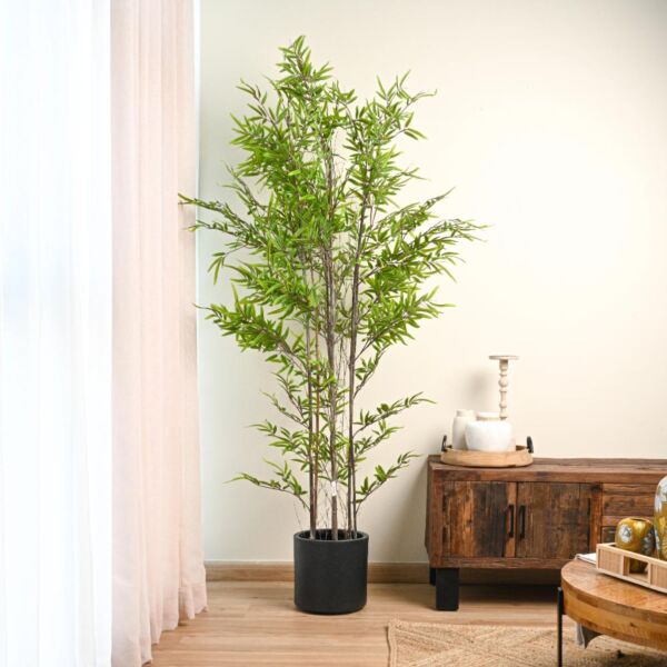 baytonia_main product photo