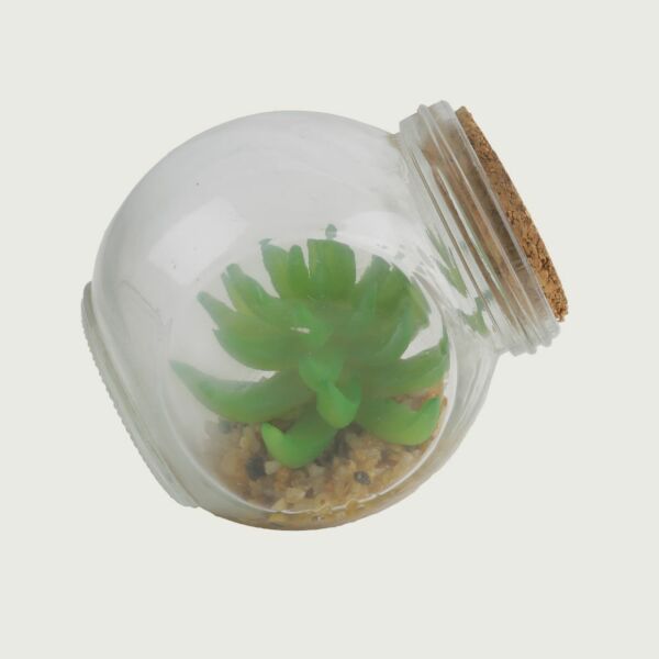baytonia_main product photo