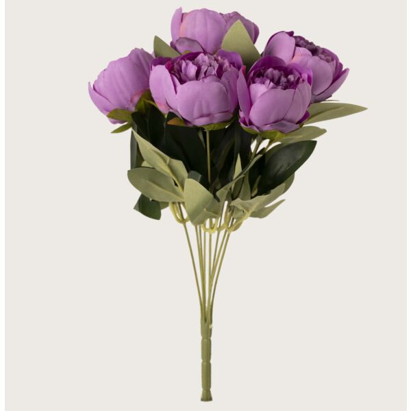 baytonia_main product photo