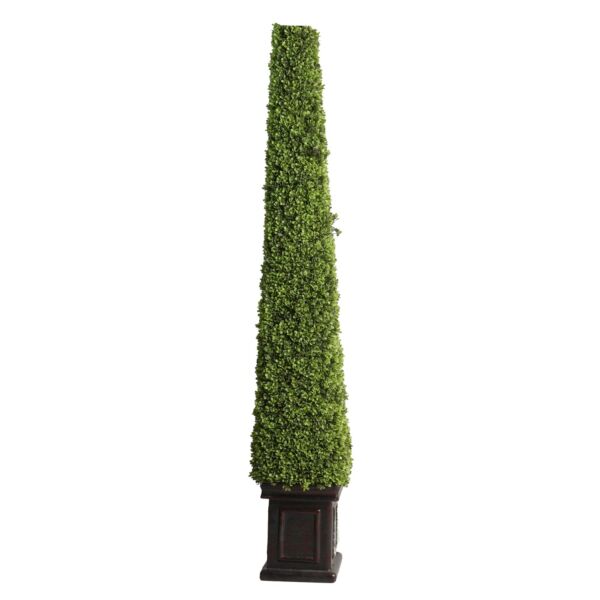 baytonia_main product photo