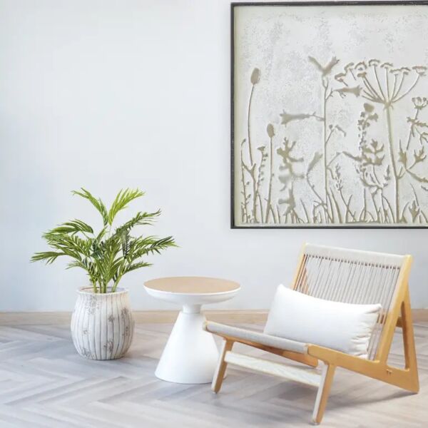 baytonia_main product photo