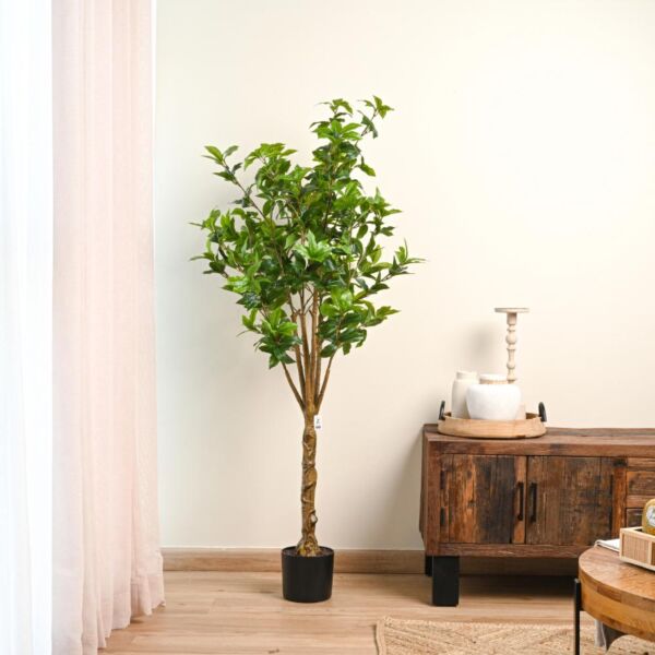 baytonia_main product photo