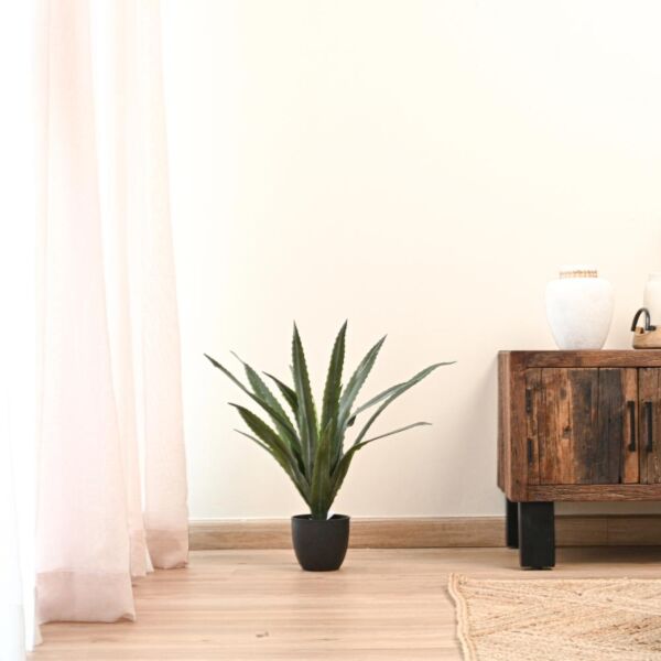 baytonia_main product photo