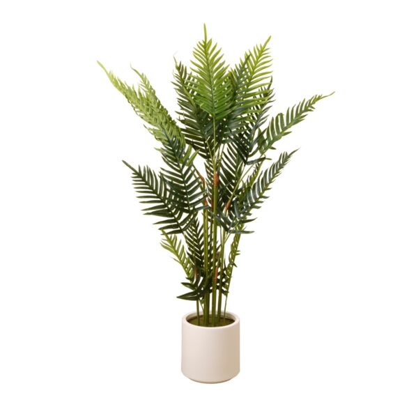 baytonia_main product photo