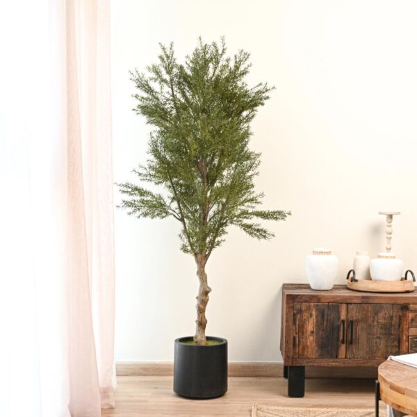 baytonia_main product photo