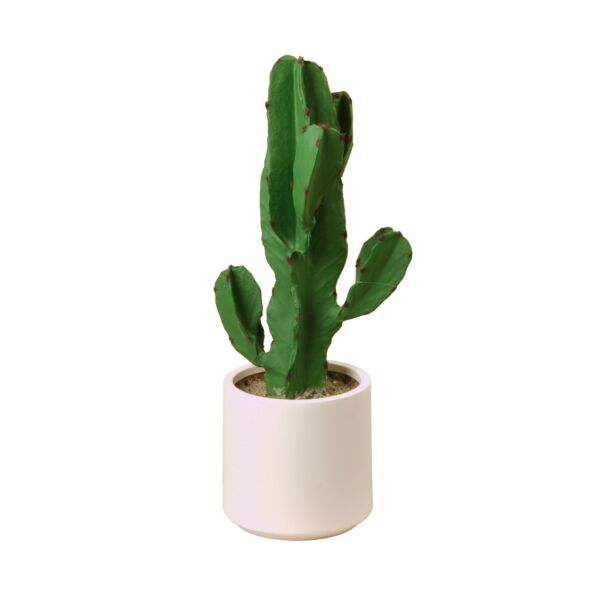 baytonia_main product photo