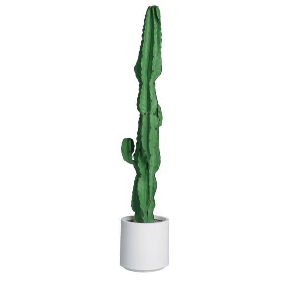 baytonia_main product photo