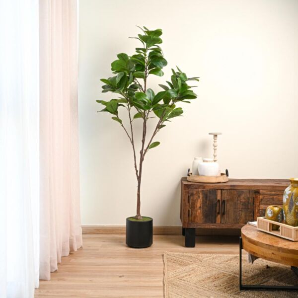 baytonia_main product photo