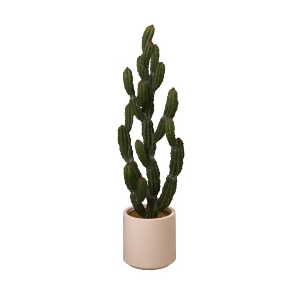 baytonia_main product photo
