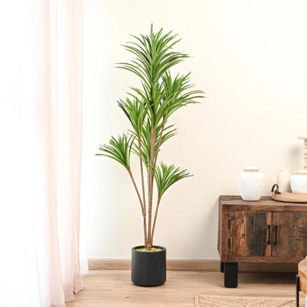baytonia_main product photo
