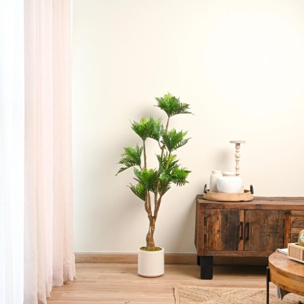 baytonia_main product photo