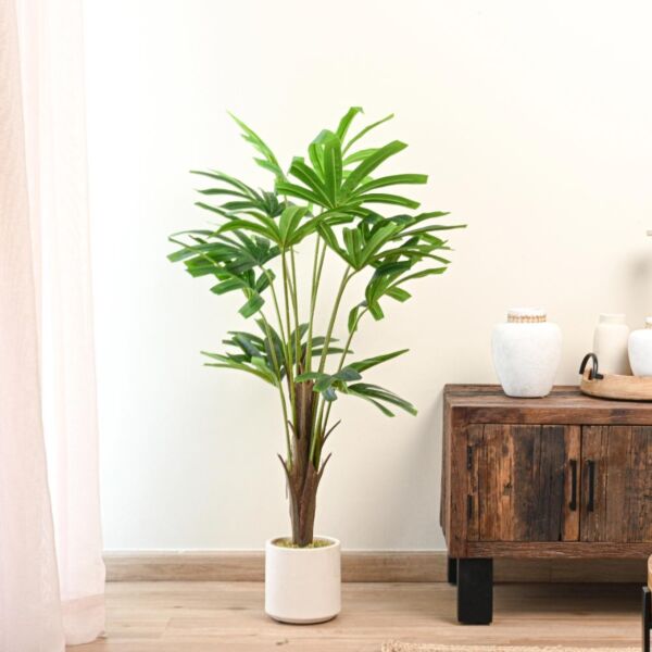 baytonia_main product photo