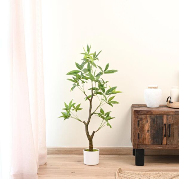 baytonia_main product photo