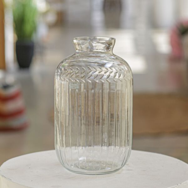 baytonia_main product photo