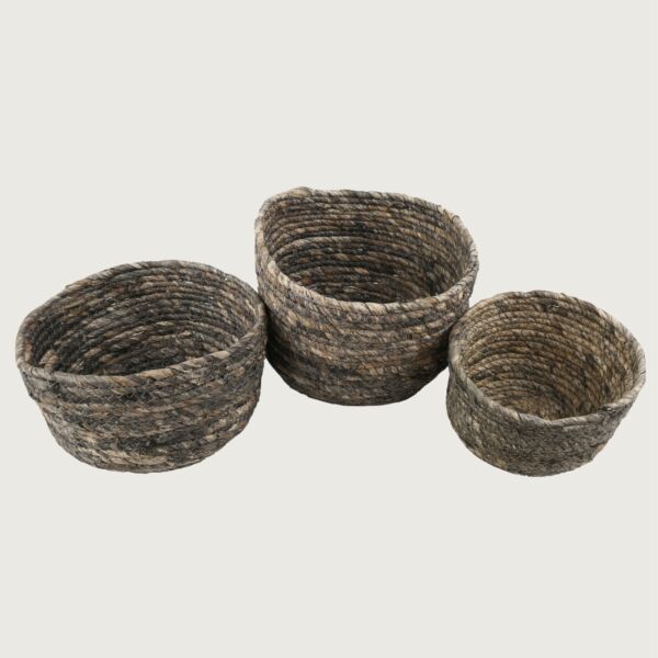 baytonia_main product photo