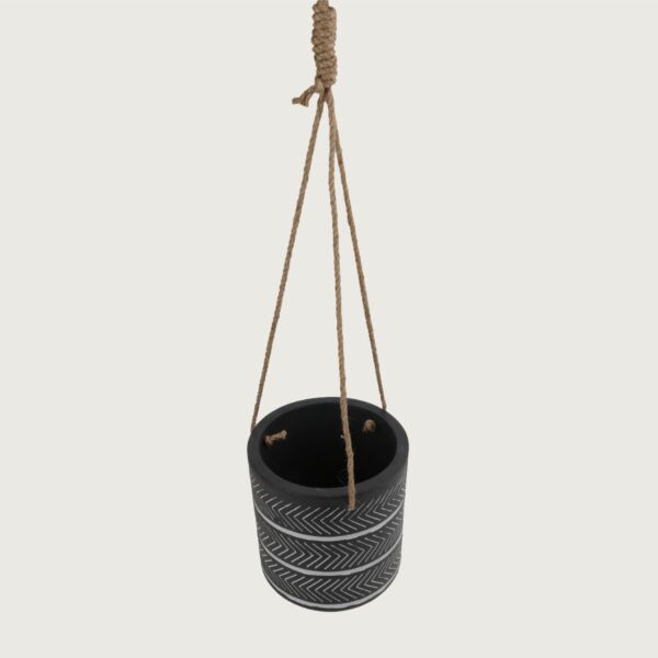baytonia_main product photo