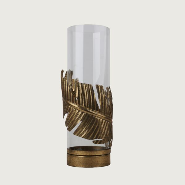 baytonia_main product photo