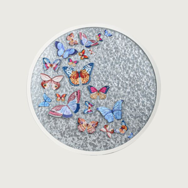 baytonia_main product photo