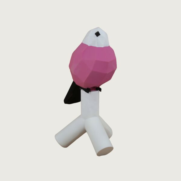baytonia_main product photo