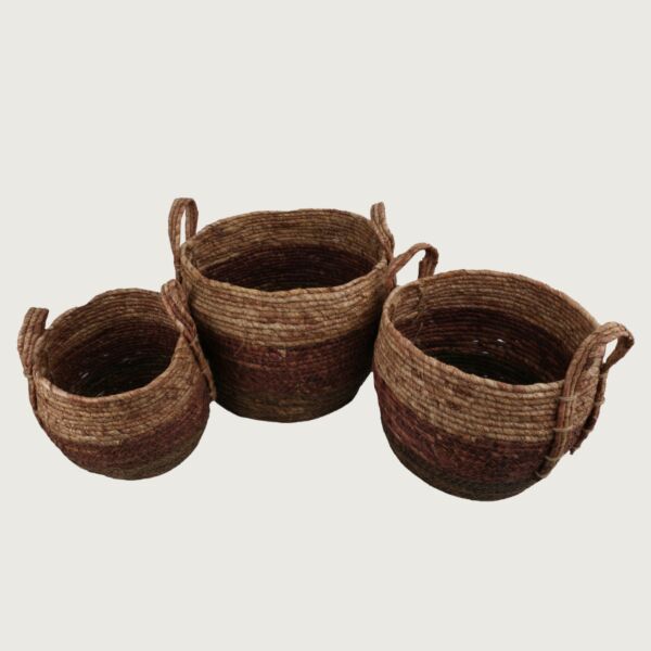 baytonia_main product photo