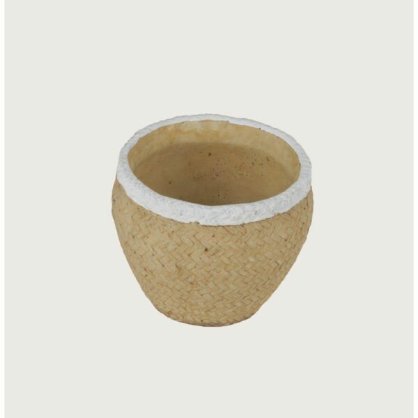 baytonia_main product photo