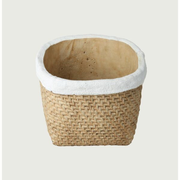 baytonia_main product photo