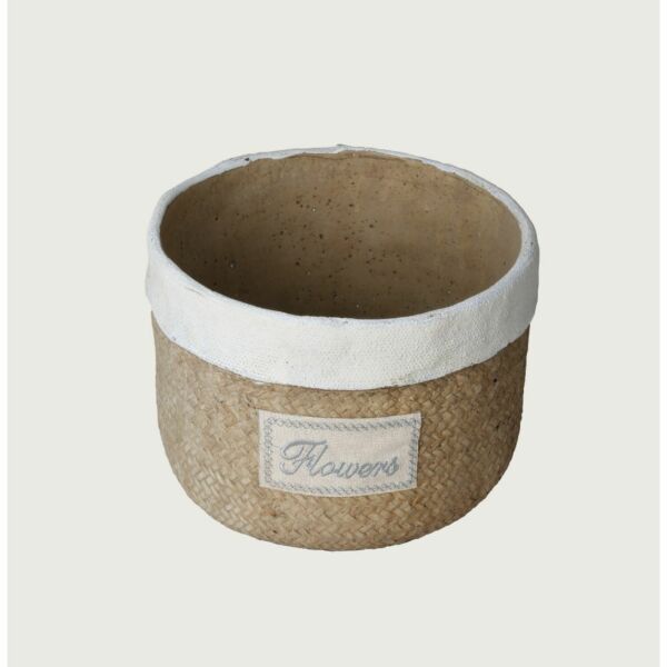 baytonia_main product photo