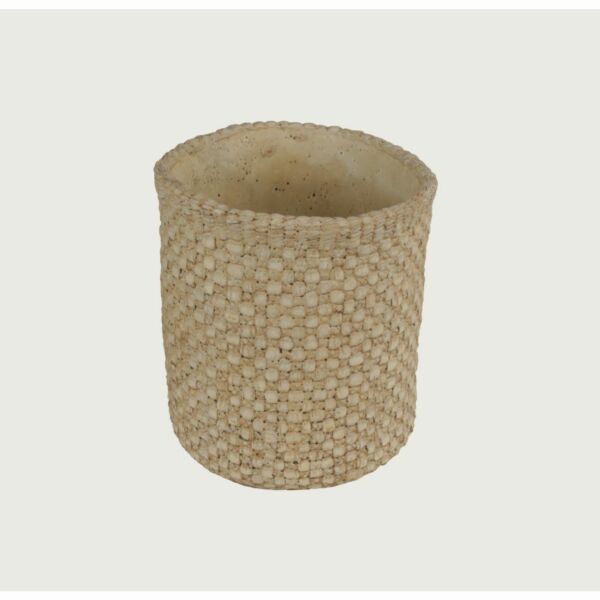 baytonia_main product photo