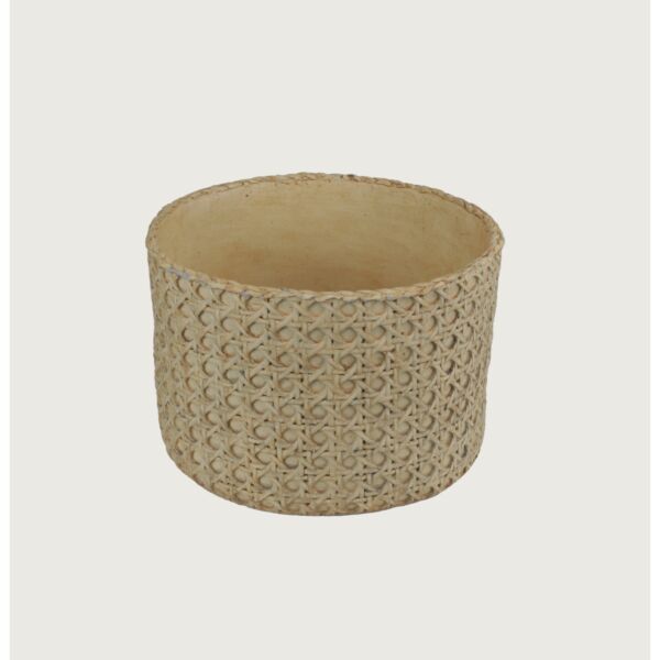 baytonia_main product photo
