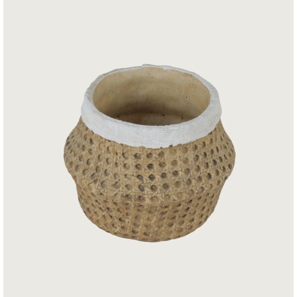baytonia_main product photo