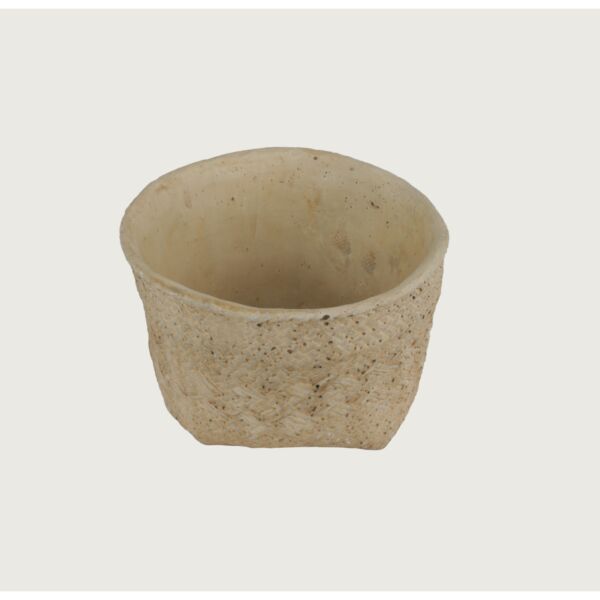 baytonia_main product photo